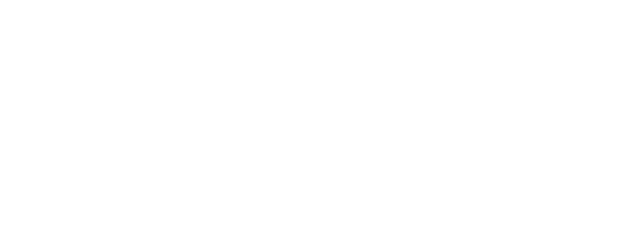 Immobilien Nienaber Logo